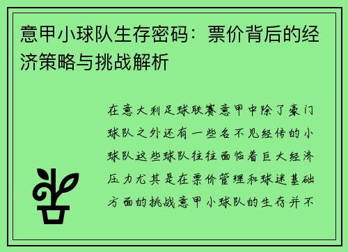 意甲小球队生存密码：票价背后的经济策略与挑战解析