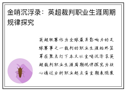 金哨沉浮录：英超裁判职业生涯周期规律探究