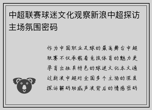 中超联赛球迷文化观察新浪中超探访主场氛围密码